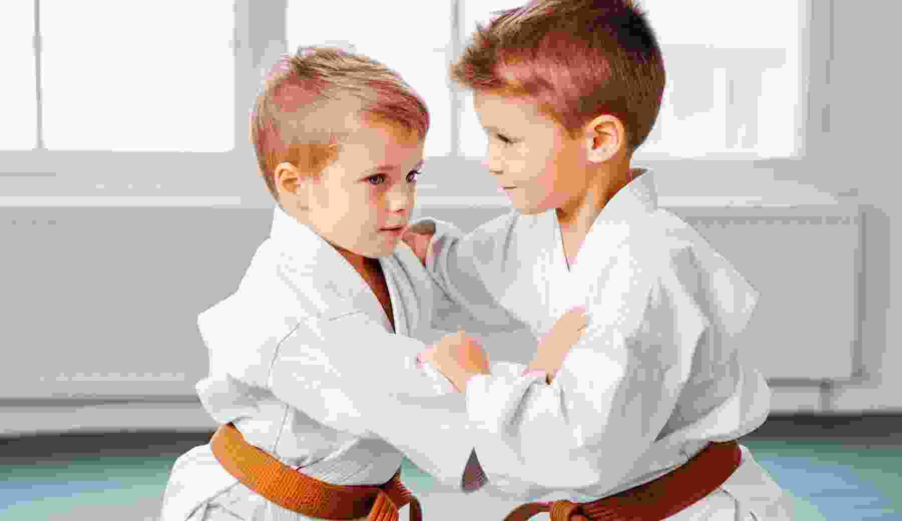 karate Ceremony